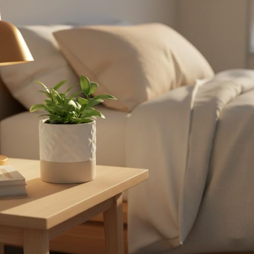 Self Watering Ceramic Plant Pot (Matte White & Brown Star / 4.5" Self Watering)