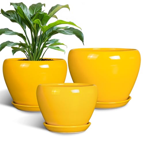 Ceramic Planters Set of 3 (3 Count)