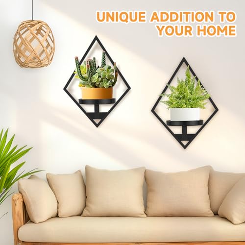 Wall Plant Holder (3 Pack)
