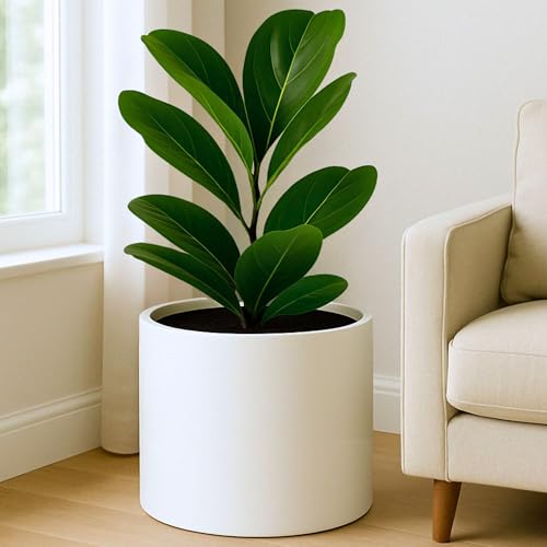 Large Planter for Indoor or Outdoor (Matte White / 14.6 Inch)