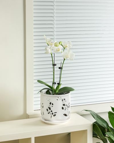 Orchid Pot 6.5 inch Large Orchid Pots with Holes for Healthy Growth and Easy Repotting (White)