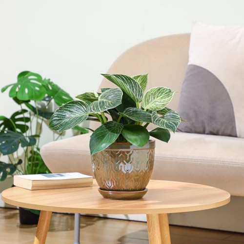 Sureasy 6.5 Inch Ceramic Plant Pots Set of 2 (Green / 6.5 inch)