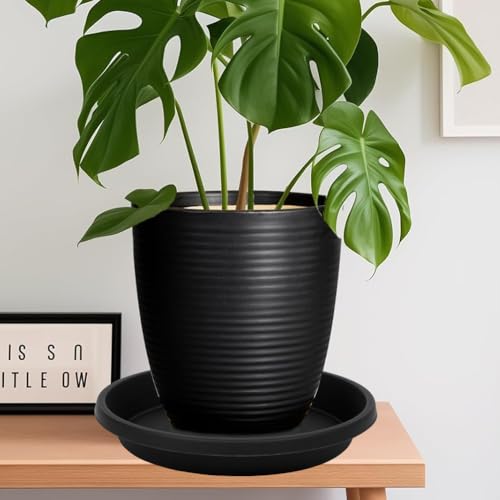 5 Pack Plant Saucer 8 Inch