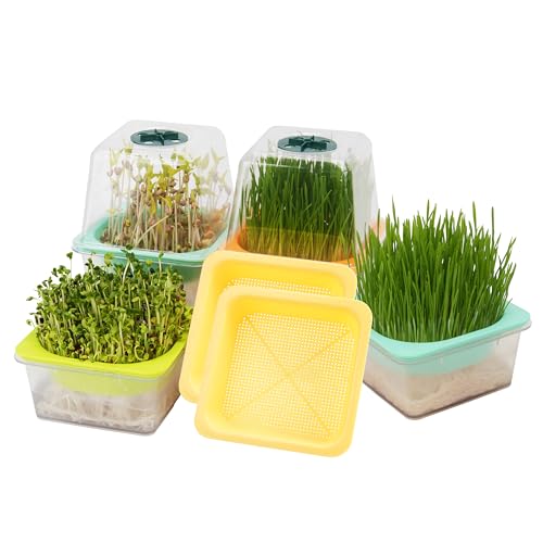Microgreen Growing Trays (6 Pack-clear Base)