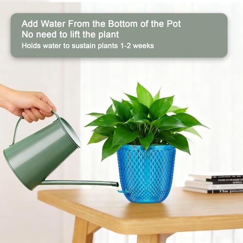Hanging Planters for Indoor Plants (Klein Blue / 5.7in)