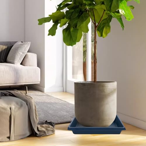 Square Plant Saucer 10 Inch 4 Pack (10"(4Pack) / Blue)