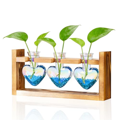 Plant Terrarium with Wooden Stand (Iridescent Clear)