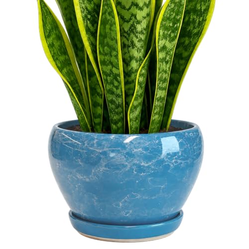8 Inch Plant Pots (Gemstone Blue / 8 Inch)