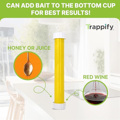 Hanging Fly Trap & Fruit Fly Traps for Indoors (2 Count)