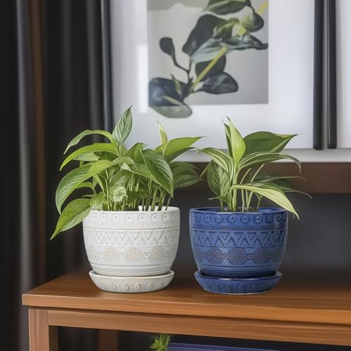 Ceramic Planters for Indoor Plants