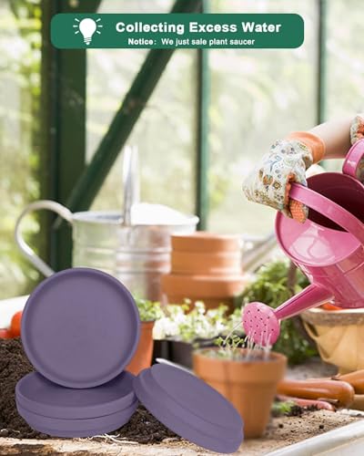 8 Inch Purple Terracotta Plant Saucer Pots Tray