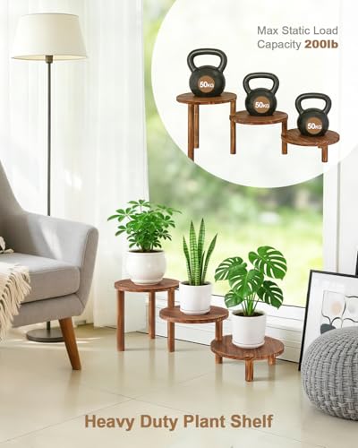 3 Tier Ladder Plant Stand