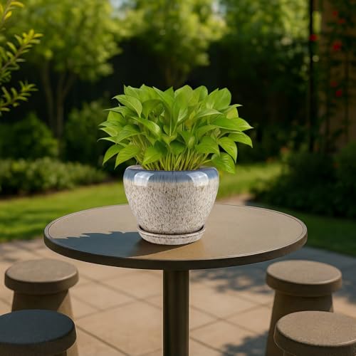 6 Inch Plant Pots