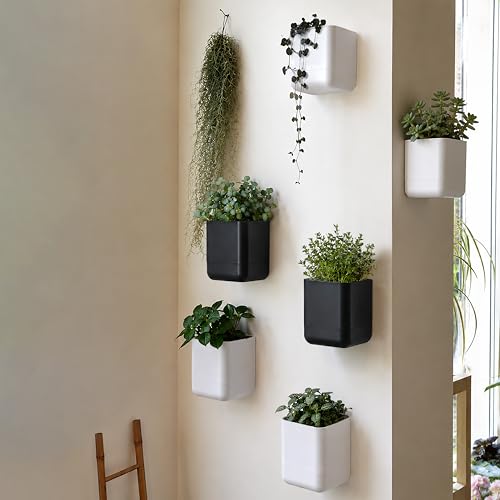4.5 Inch Wall Mounted Self (4.5" (3 Pack) / White)