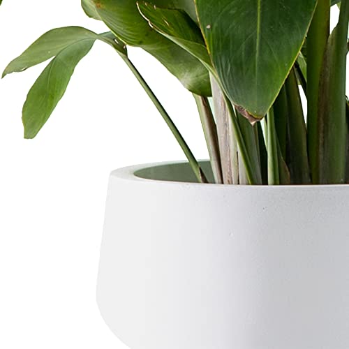 Set of 3 White Concrete Shallow Planters 21.6" 16.9" 12.5" Dia (Pure White / 21.6",16.9",and 12.5" Dia)