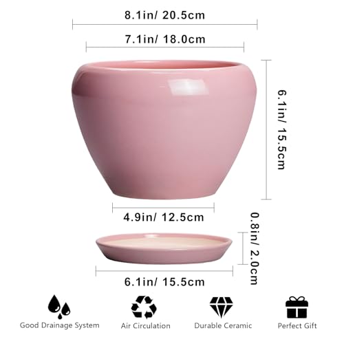 Ceramic Modern Glaze Succulent Planter Pot with Drainage Hole and Saucer 8 Inch Round Flower Plant Pot for Indoor Outdoor Herb Snake Plants (8 Inch / Pink)