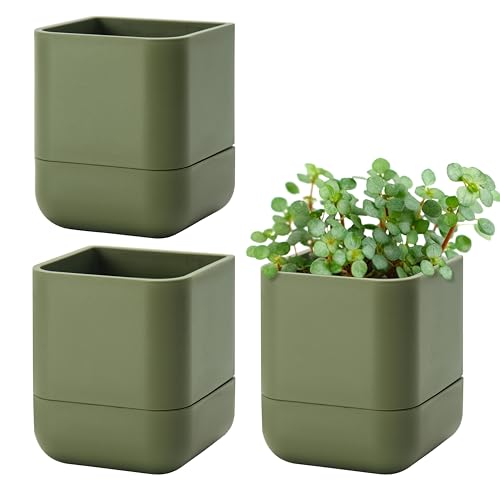 4.5 Inch Wall Mounted Self (4.5" (3 Pack) / Olive)
