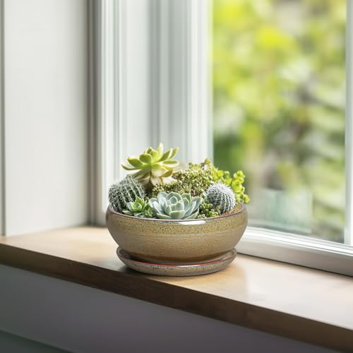 Bonsai Pots Small (6 Inch / Speckled Brown)