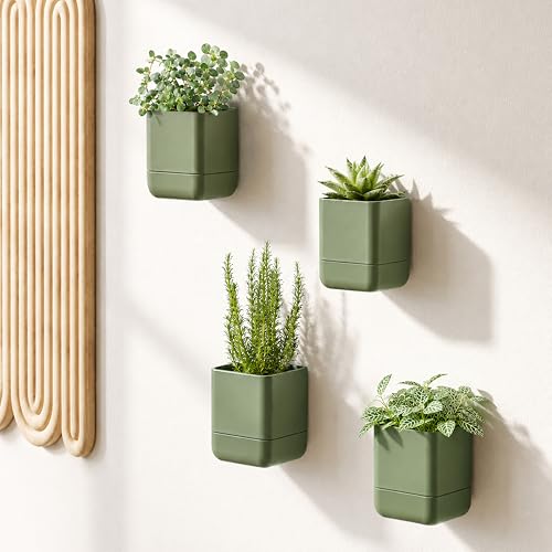 4.5 Inch Wall Mounted Self (4.5" (2 Pack) / Olive)