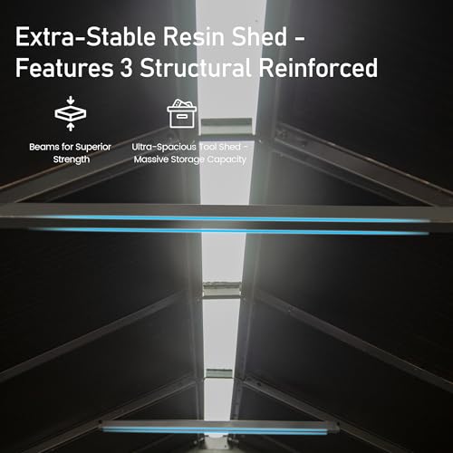 Domi 6x4 FT Resin Outdoor Storage Shed