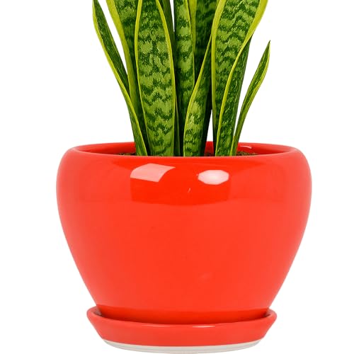 8 Inch Plant Pots