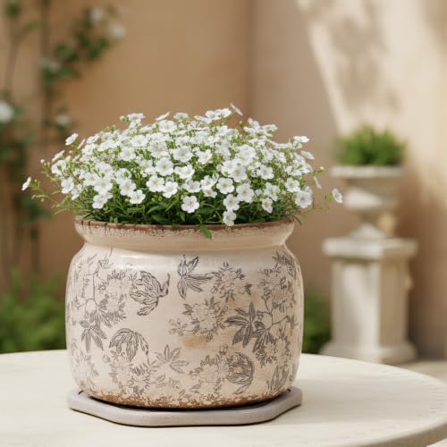 Farmhouse Ceramic Plant Pots with Decorative Saucer (Rustic Grey / 7.7 in - w/ Saucer)