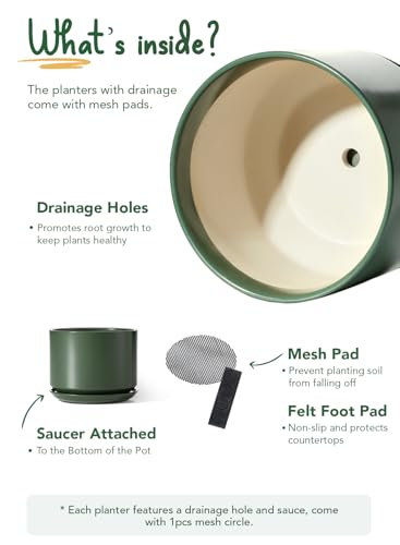 8 Inch Plant Pot (Forest Green / 8")