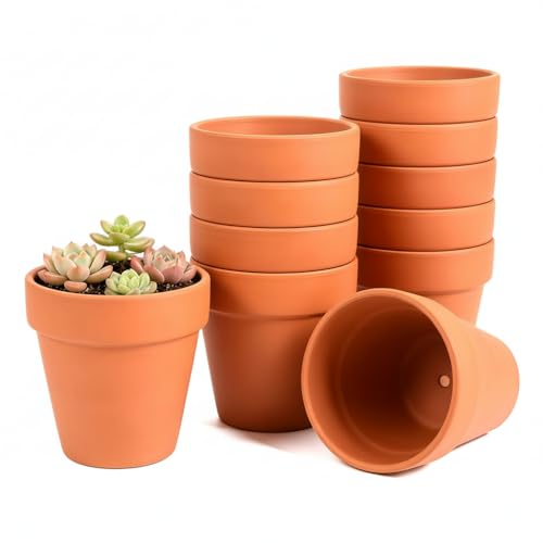 Terracotta Clay Pots with Drainage Holes (4-inch Red)