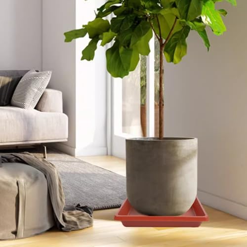 Plant Saucer 12 Inch Square 2 Pack (12"(2Pack) / Terra Cotta)