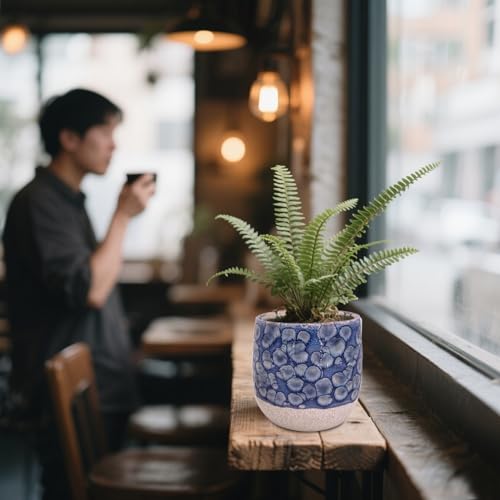 6 in Ceramic Plant Pot with Saucer