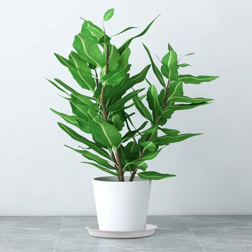 11.75 Inch 10.5 Inch Base (11.75" (4 Pack) / White)