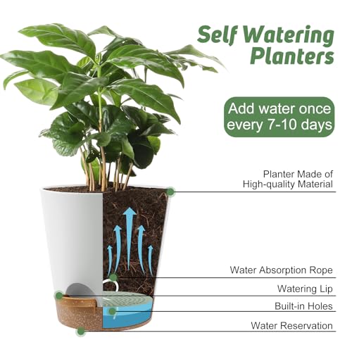 8 Inch Plant Pots (2 Count)