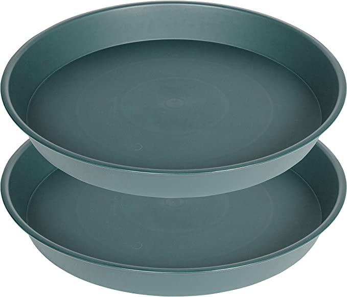 2 Pack of 10 inch Plant Saucer Gray (10" (2 pack) / Green)
