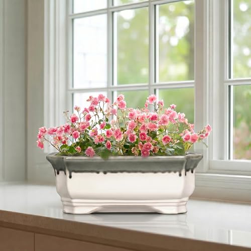 Ceramic Bonsai Pots (11 Inch / Rectangular Beige-grey)