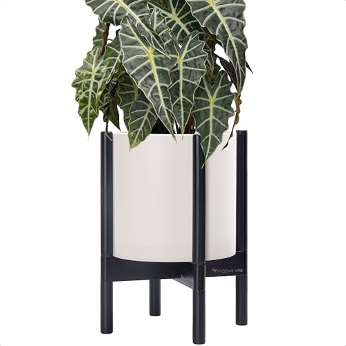 Plastic Pot with Ebony Wood Stand (Oatmeal Pot + Ebony Stand / 10 Inch)