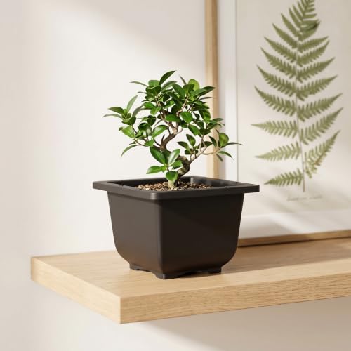15 PCS 4.7 Inch Plant Pot (15 Count)