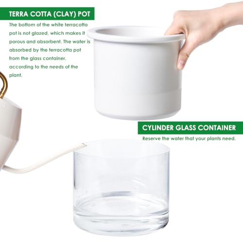 6 Inch 4 Inch Self Watering Planter Pots (4+6 Inch / White)