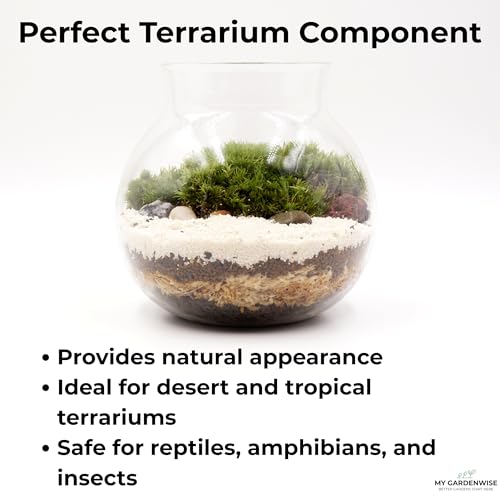 Fine Sand for Plants