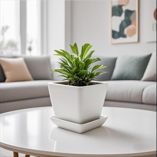 Square Ceramic Plant Saucer Tray 2 Pcs 4 Inch White