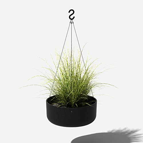 Mason Series Hanging Lima Bowl Planter (Black / 14 inch)