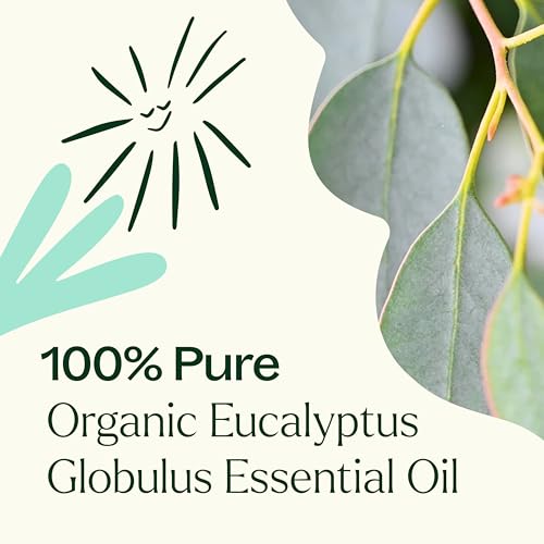 Organic Eucalyptus Globulus Essential Oils 30 mL (1 Fl Oz (Pack of 1))