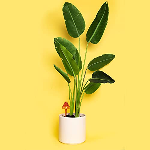 Indoor Plant Watering Globes (Mushroom)