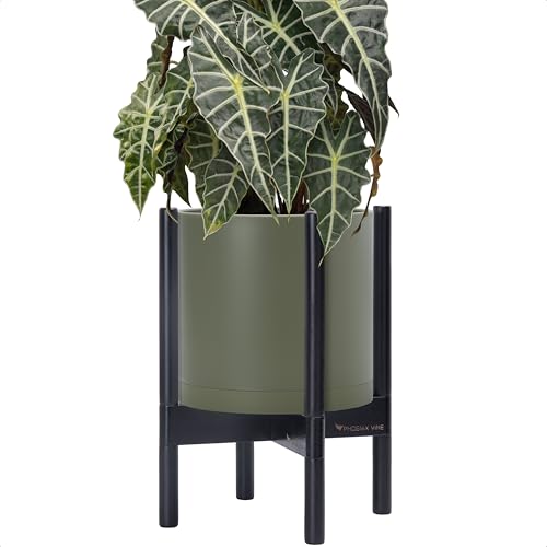 Plastic Pot with Ebony Wood Stand (Olive Pot + Ebony Stand / 10 Inch)