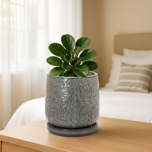 Embossed Leaves Ceramic Planter (4 Inch / Graphite Blue)