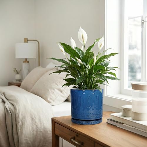 8 Inch Planter (8 Inch / Blue - 2)