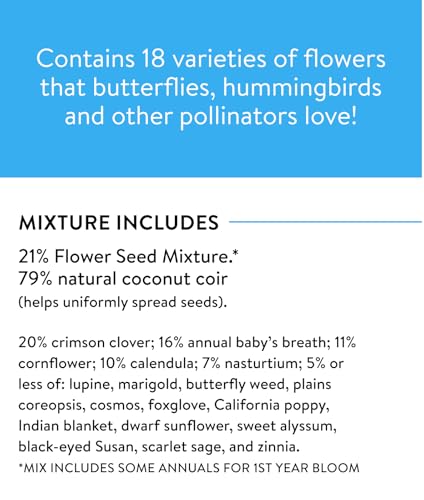 Wildflower 25