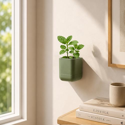 3.5 Inch Wall Mounted Self (3.5" (3 Pack) / Olive)