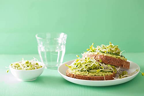 Organic Radish Seeds for Sprouting (15 Pounds)