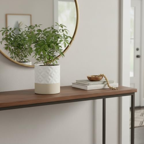 Ceramic Self Watering Plant Pot for Indoor Plants (Matte White & Brown Star / 6" Self Watering)