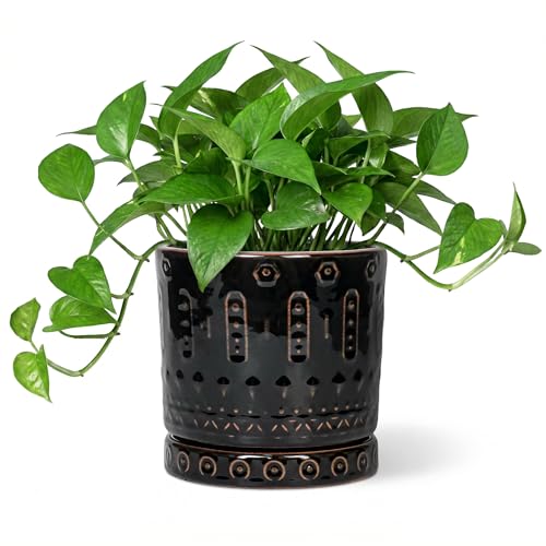 6 Inch Plant Pot (6 Inch / Black - 2)